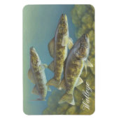 Walleye Painting Magnet (Vertikal)