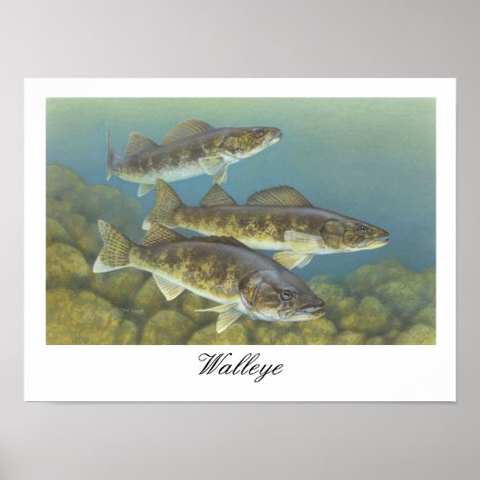 Walleye Painting Poster (Vorne)