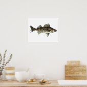 Walleye Poster (Küche)