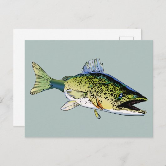 Walleye Postkarte (Vorne/Hinten)