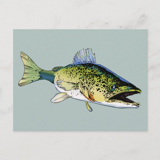 Walleye Postkarte (Vorderseite)