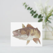 Walleye Postkarte (Stehend Vorderseite)