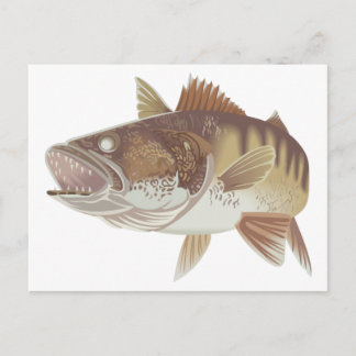 Walleye Postkarte