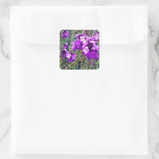 Wallflower Bowles Mauve #1 Stickers (Tasche)