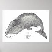 Wallieder Poster (Vorne)