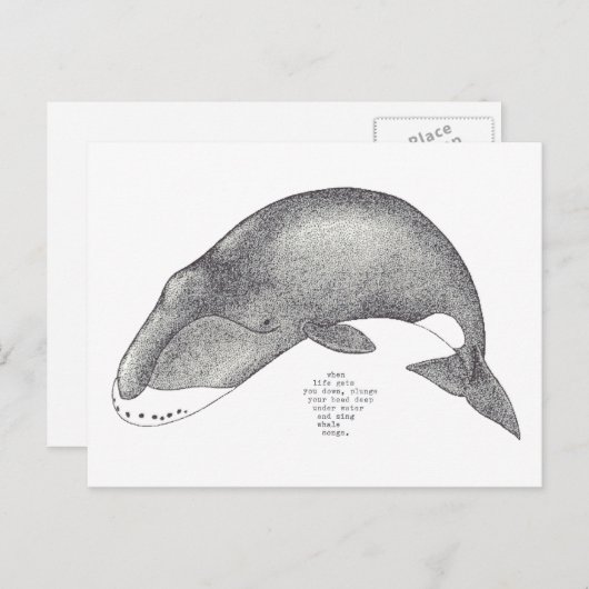 Wallieder Postkarte (Vorne/Hinten)