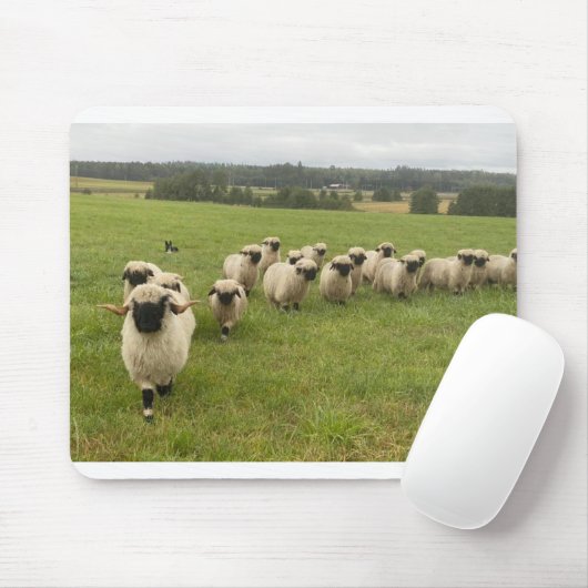 Wallis Black Nose Sheep Mousepad (Mit Mouse)