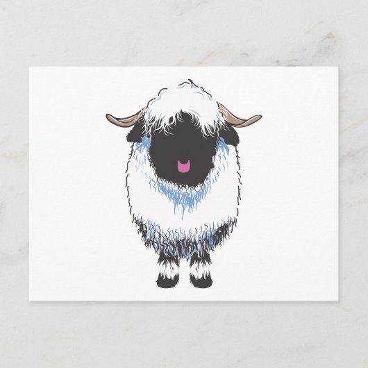 Wallis Black Nose Sheep Postcard Postkarte (Vorderseite)