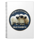 Wallis Blacknose - das niedlichste Schaf der Welt! Notizblock (Vorderseite)