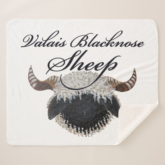 Wallis Blacknowledged Sherpadecke (Vorderseite (Horizontal))