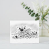 Wallis Blwlese Sheep Illustration Postkarte (Stehend Vorderseite)