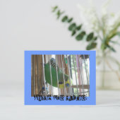Wallis der Budgie! Postkarte (Stehend Vorderseite)