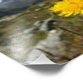 Walliser Alpen Schweiz Fotodruck (Ecke)