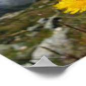 Walliser Alpen Schweiz Poster (Ecke)