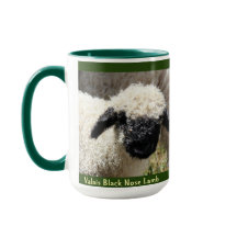 Walliser Schwarzer Nase