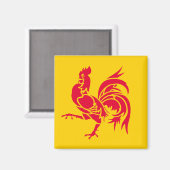 Wallonie-Flagge Belgien Region Französisches Symbo Magnet (Vorderseite/Rückseite)