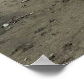 Wallowa Lake, Oregon Poster (Ecke)