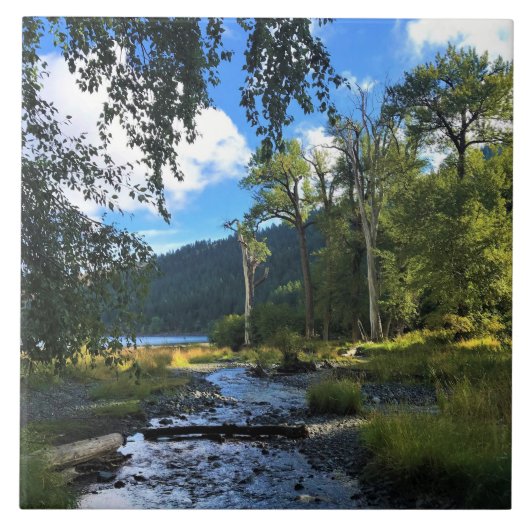 Wallowa Lake Staat Park, OR Fliese (Vorderseite)