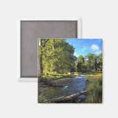 Wallowa Lake Staat Park, OR Magnet (Vorderseite/Rückseite)