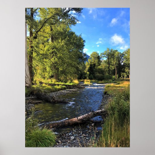 Wallowa Lake Staat Park, OR Poster (Vorne)