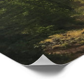 Wallowa Mountains, OR Poster (Ecke)