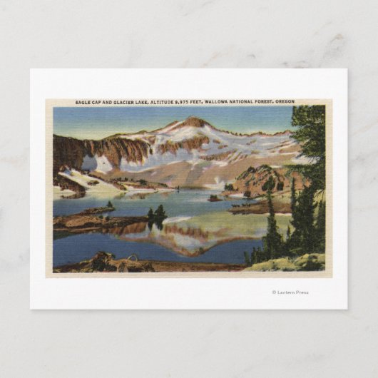 Wallowa National Forest, OR Postkarte (Vorderseite)