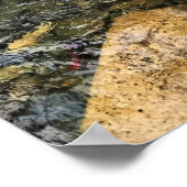Wallowa River, OR Poster (Ecke)