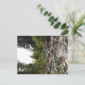 Wallowa River, OR Postkarte (Stehend Vorderseite)