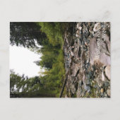 Wallowa River, OR Postkarte (Vorderseite)