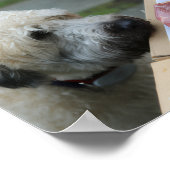 Walls Print - Meat as Motivation Poster (Ecke)