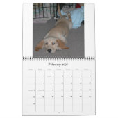 Wally der Wunder-Hund 2009 Kalender (Feb 2027)