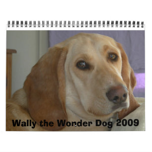 Wally der Wunder-Hund 2009 Kalender
