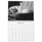 Wally der Wunder-Hund 2009 Kalender (Mär 2026)