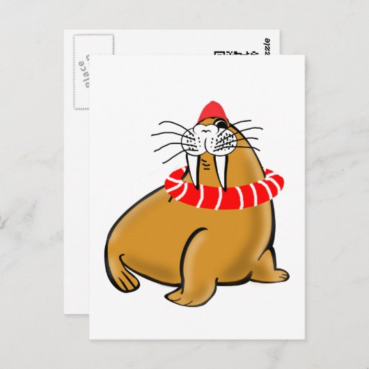 Wally Walrus schwimmt Postkarte (Vorne/Hinten)