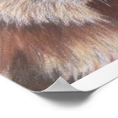 Wally Wombat Poster (Ecke)