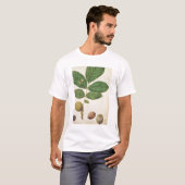 Walnuss, c.1568 (w/c auf Papier) T-Shirt (Vorne ganz)