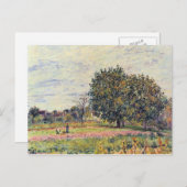 Walnussbäume in der Sonne, Anfang Oktober - Sisley Postkarte (Vorne/Hinten)