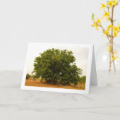 Walnussbaumlandschaft Karte (Gelbe Blume)