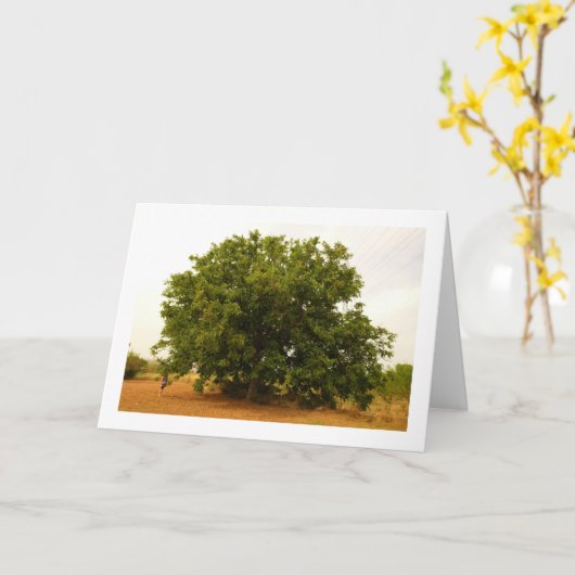 Walnussbaumlandschaft Karte (Gelbe Blume)