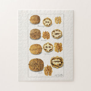 Walnüsse (Juglans) Früchte Aquarellmalerei Jigsaw Puzzle