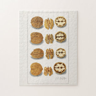 Walnüsse (Juglans) Fruchtfarben Puzzle