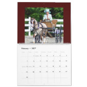 Walnut Hill Carriage Driving Horse Show Kalender (Feb 2027)