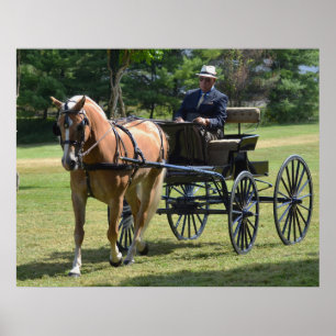 Walnut Hill Carriage Driving Horse Show Poster