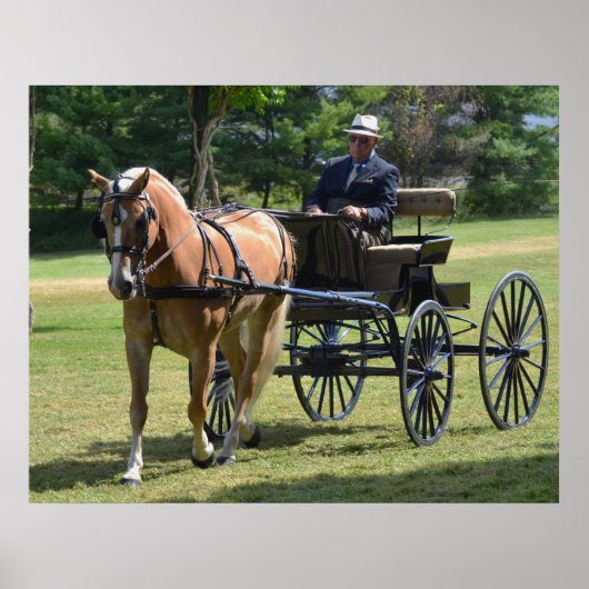 Walnut Hill Carriage Driving Horse Show Poster (Vorne)