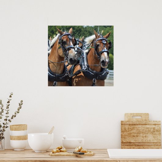 Walnut Hill Carriage Driving Horse Show Poster (Küche)
