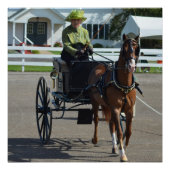 Walnut Hill Carriage Driving Horse Show Poster (Vorderseite)
