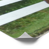 Walnut Hill Carriage Driving Horse Show Poster (Ecke)