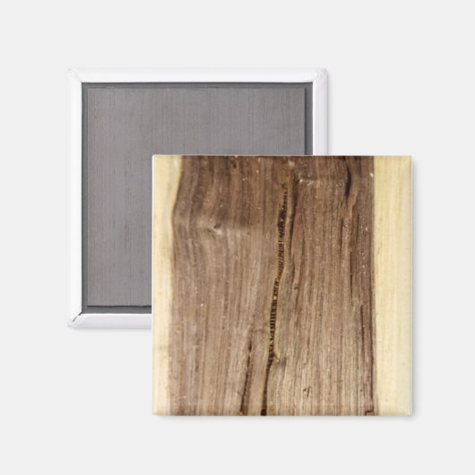 Walnut Magnet (Vorderseite/Rückseite)