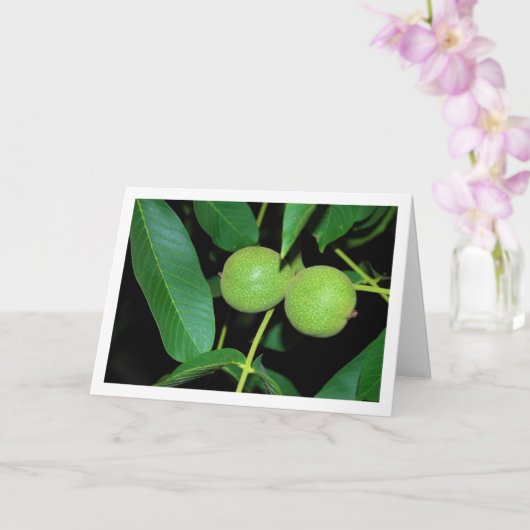 Walnut Tree Portrait Karte (Orchidee)