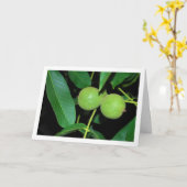 Walnut Tree Portrait Karte (Gelbe Blume)